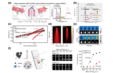 Water-insensitive near-infrared luminescent nanoprobes enable low-power and ultrasensitive biodetection in opaque media 2026.100916